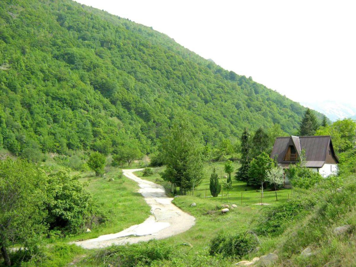 Villa Orka Pelister - Forest Zone Bitola Buitenkant foto
