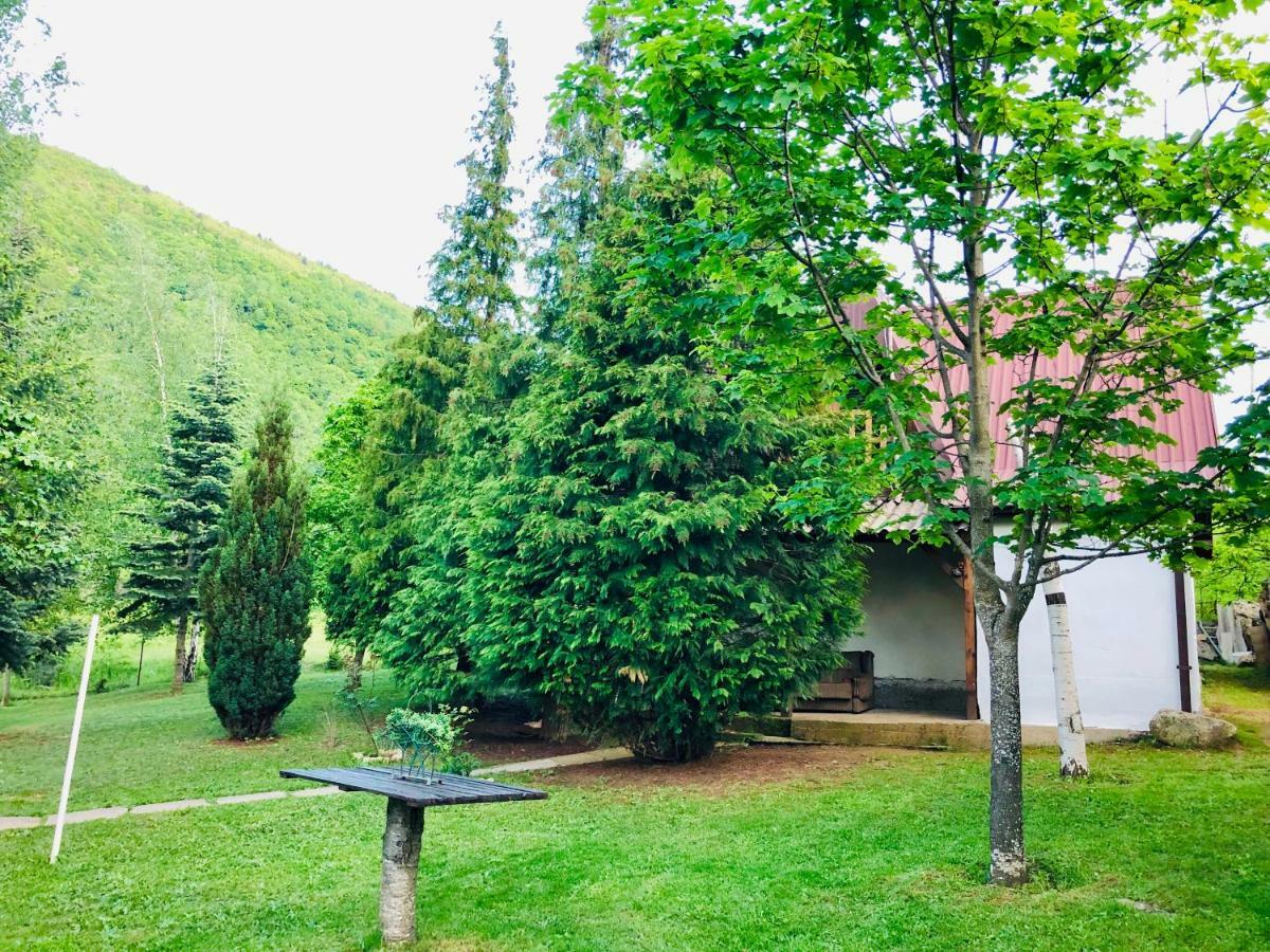 Villa Orka Pelister - Forest Zone Bitola Buitenkant foto