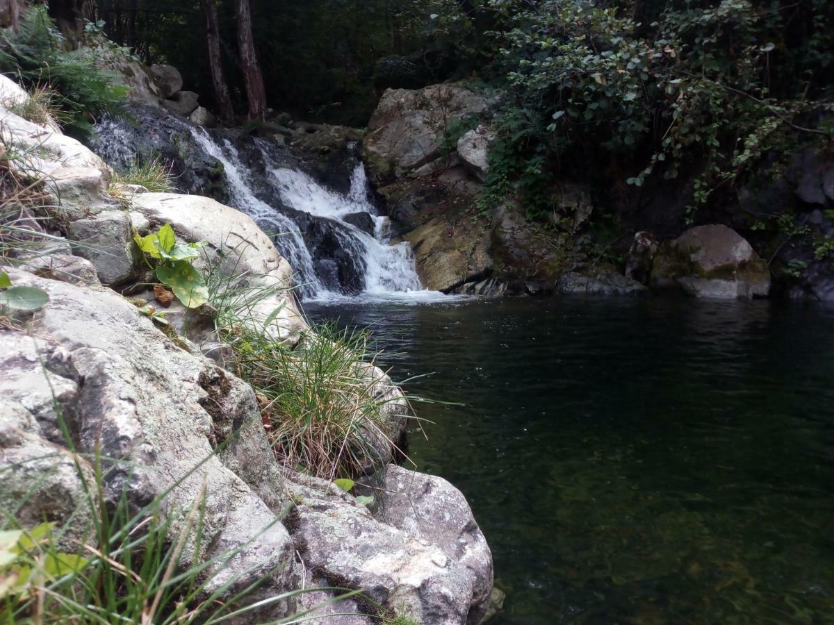 Villa Orka Pelister - Forest Zone Bitola Buitenkant foto