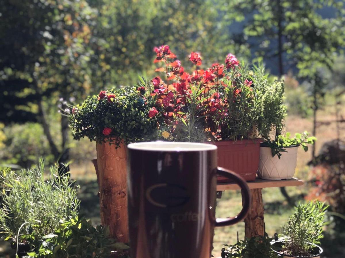 Villa Orka Pelister - Forest Zone Bitola Buitenkant foto